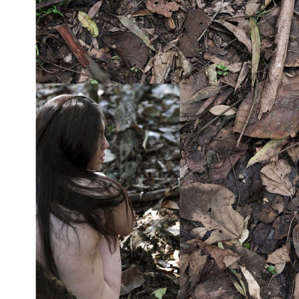 Obra de Fernanda Gonçalves Marques