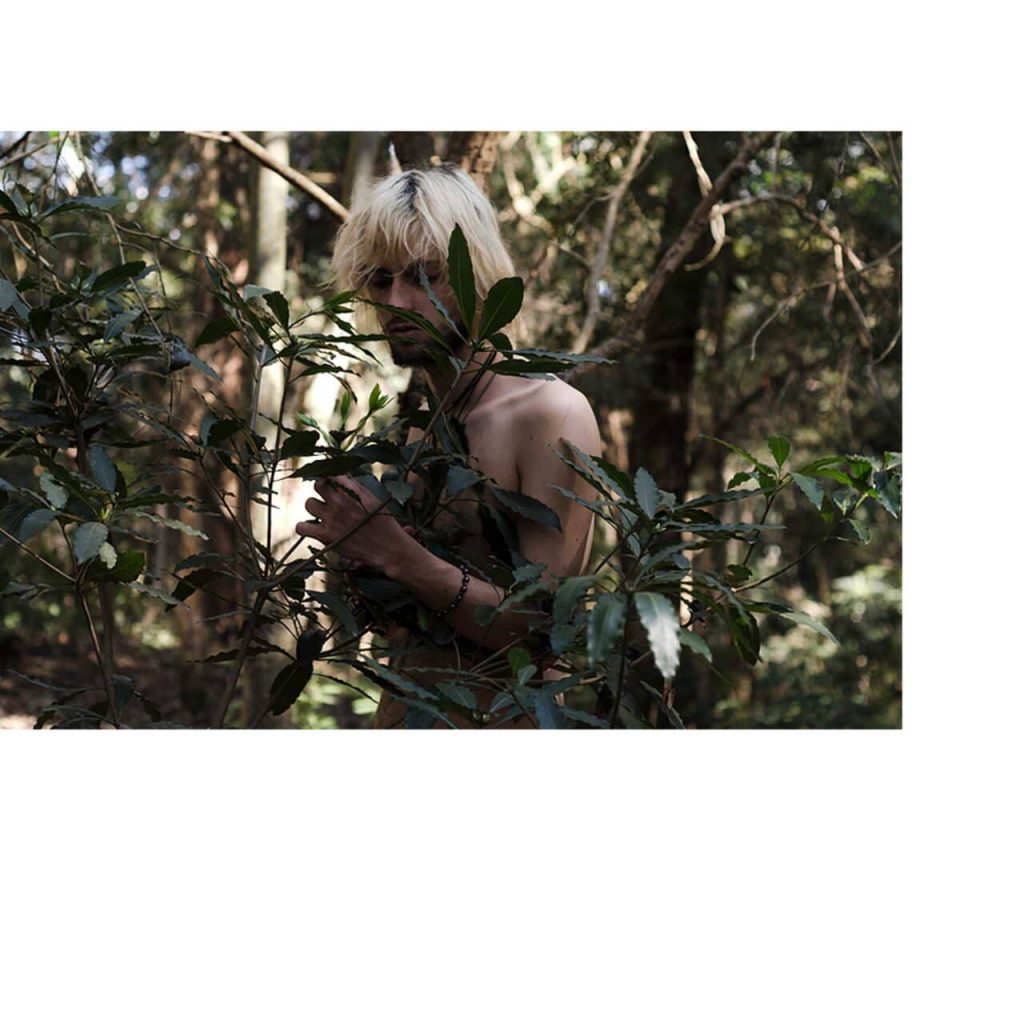 Obra de Fernanda Gonçalves Marques