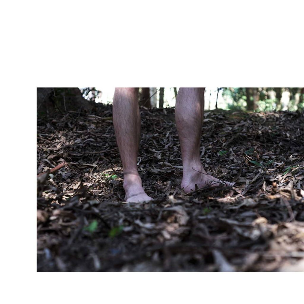 Obra de Fernanda Gonçalves Marques