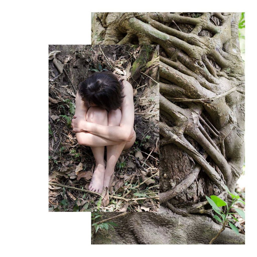 Obra de Fernanda Gonçalves Marques