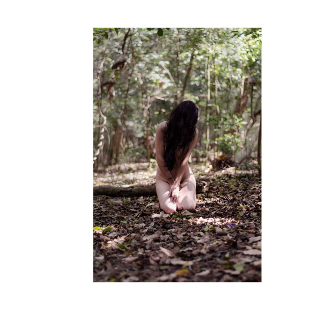 Obra de Fernanda Gonçalves Marques