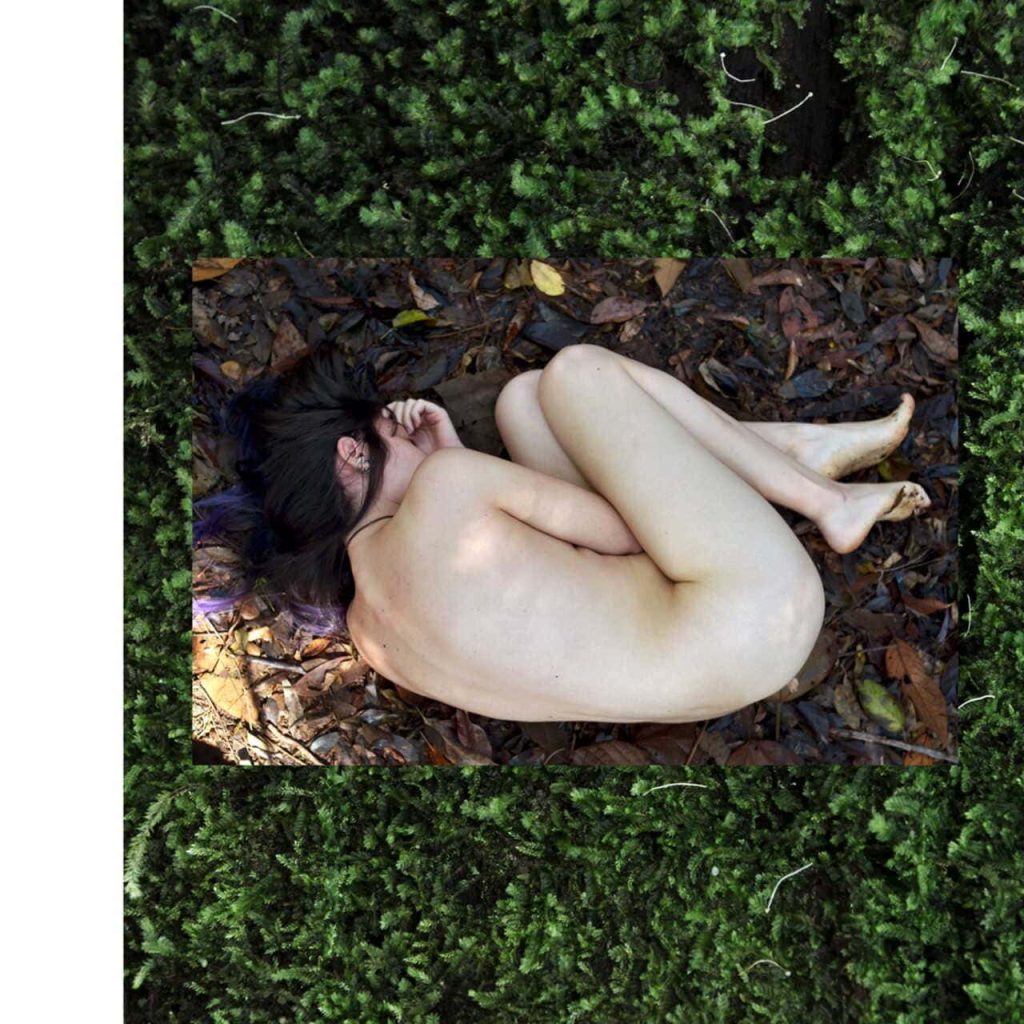 Obra de Fernanda Gonçalves Marques