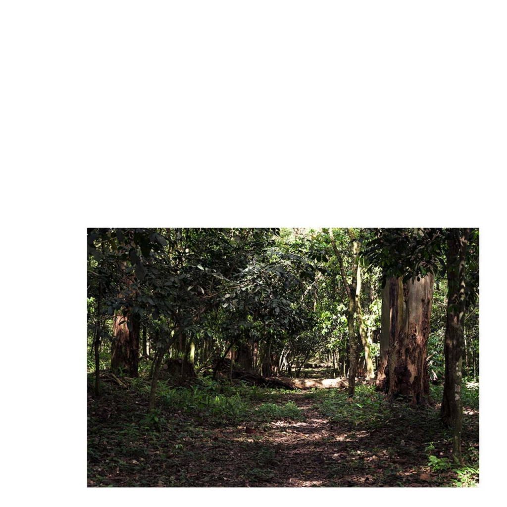 Obra de Fernanda Gonçalves Marques