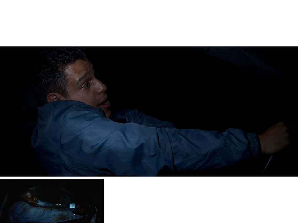 Obra de Fernando Galego Boselli