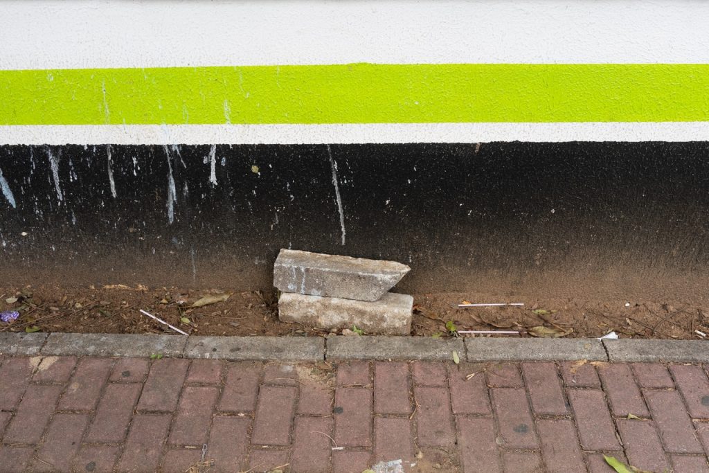 Obra de Fernando Galego Boselli