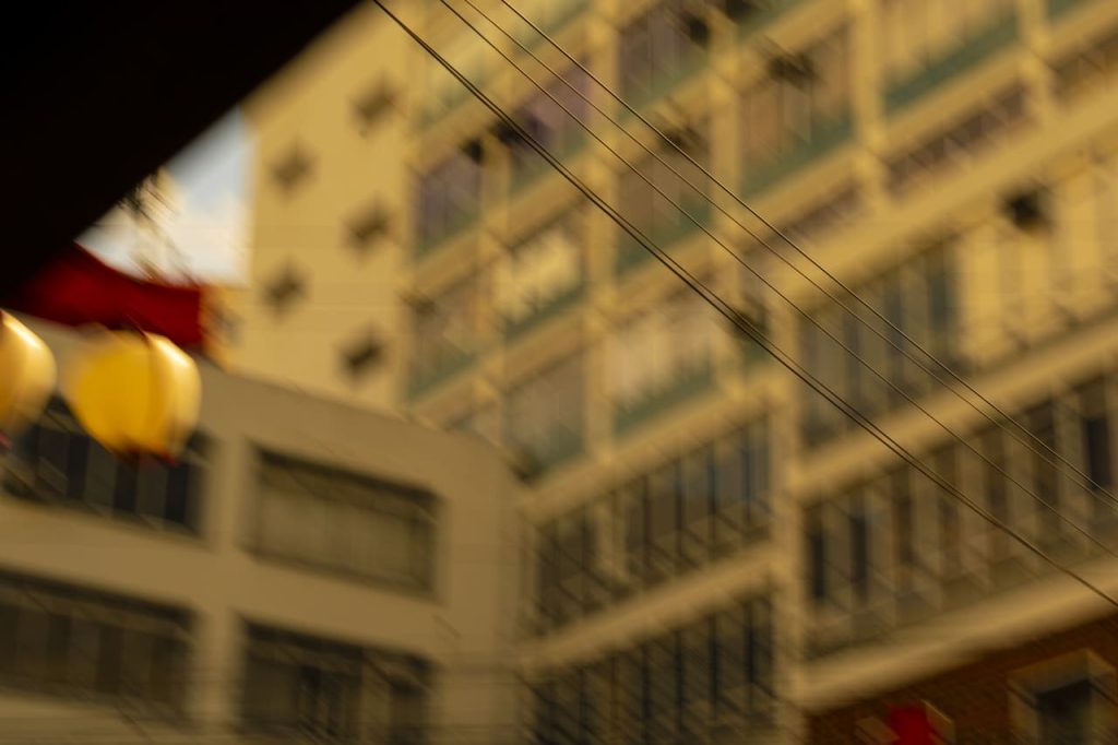 Obra de Guilherme Panachão Palma Pinto