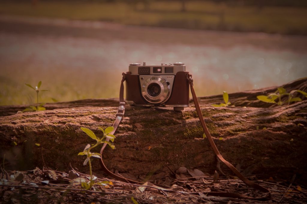 Obra de Henrique Tilelli de Almeida Anacleto