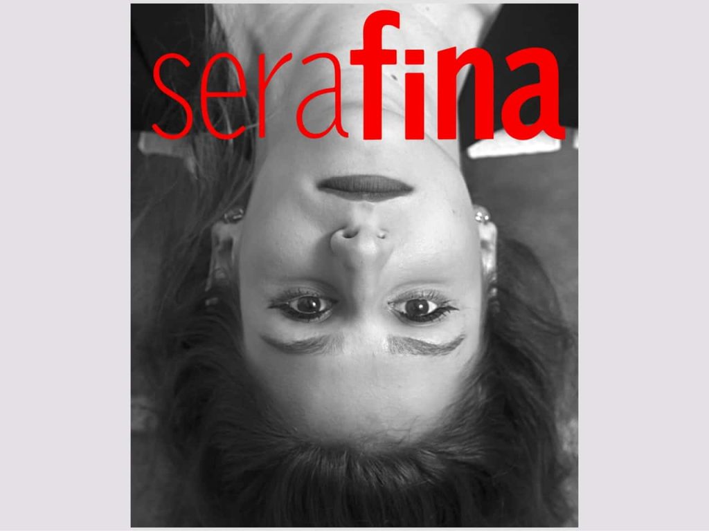 Obra de Lilian Giaretta Fregonezi Bernardes