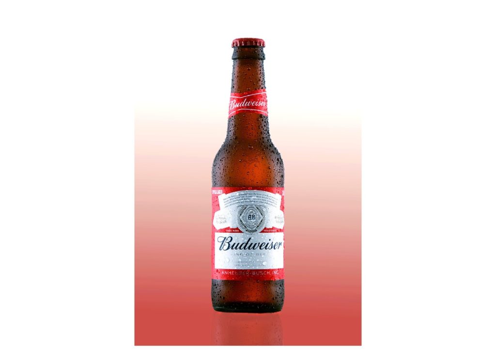 Obra de Marcela Calif Simas Suguihura