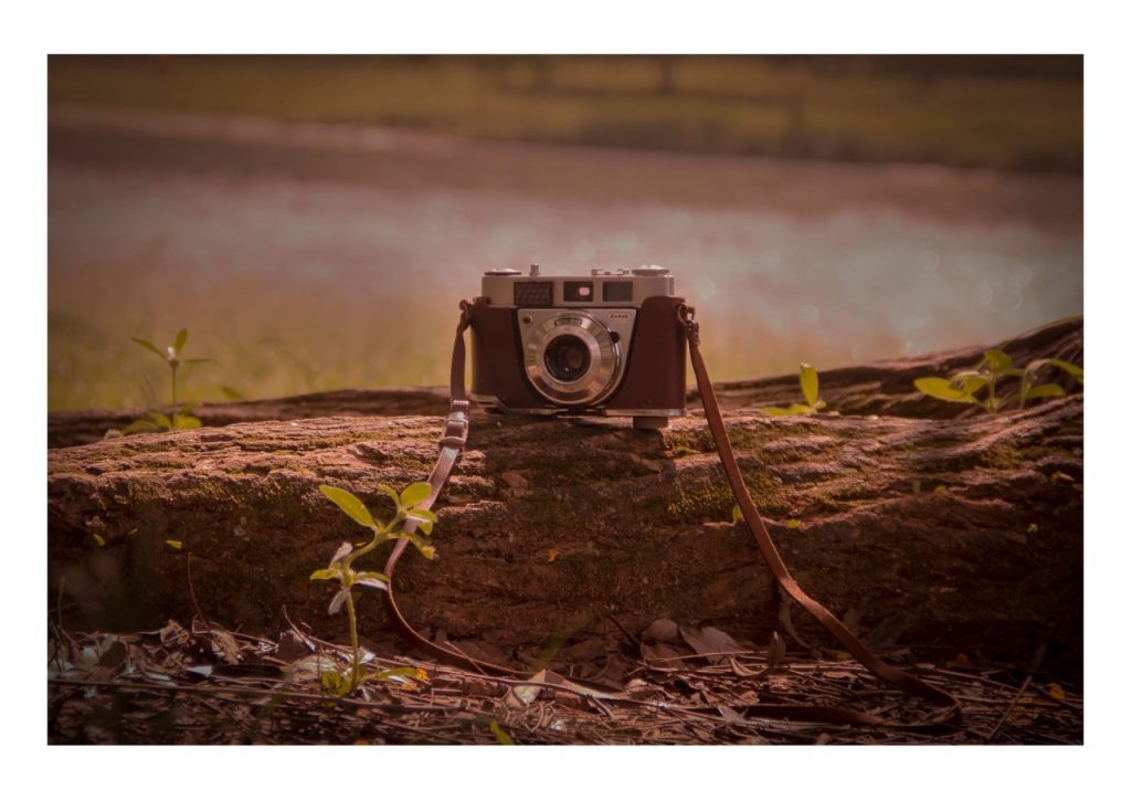 Obra de Marcela Calif Simas Suguihura