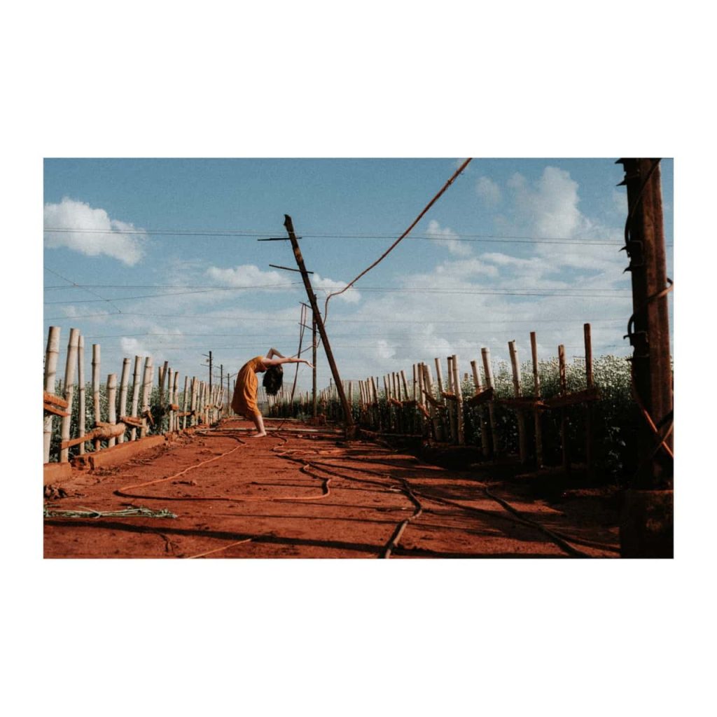 Obra de Maria Julia Pereira da Rosa