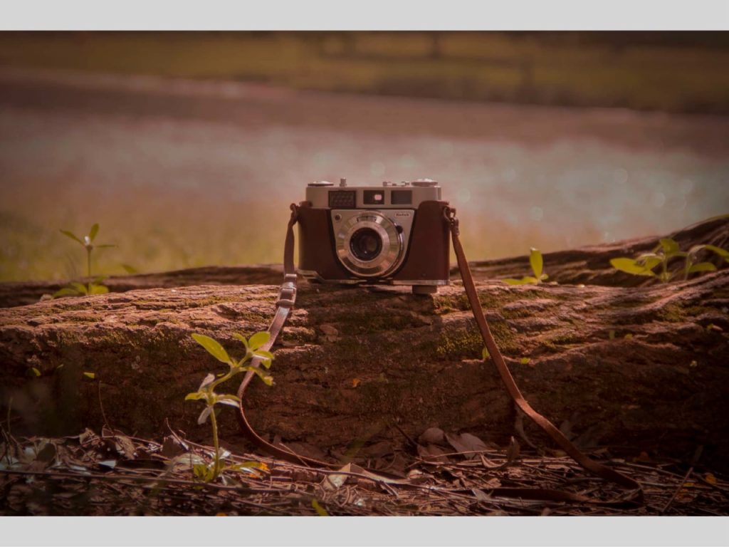 Obra de Rosangela Gobbi Oriollo