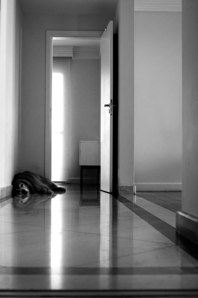 Obra de Silvia Martins Pioner Borbolla