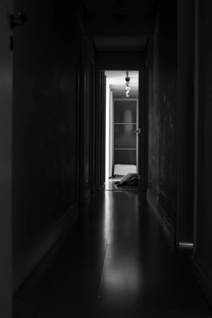 Obra de Silvia Martins Pioner Borbolla