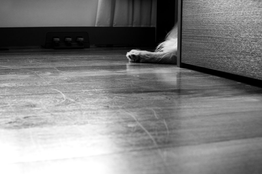 Obra de Silvia Martins Pioner Borbolla