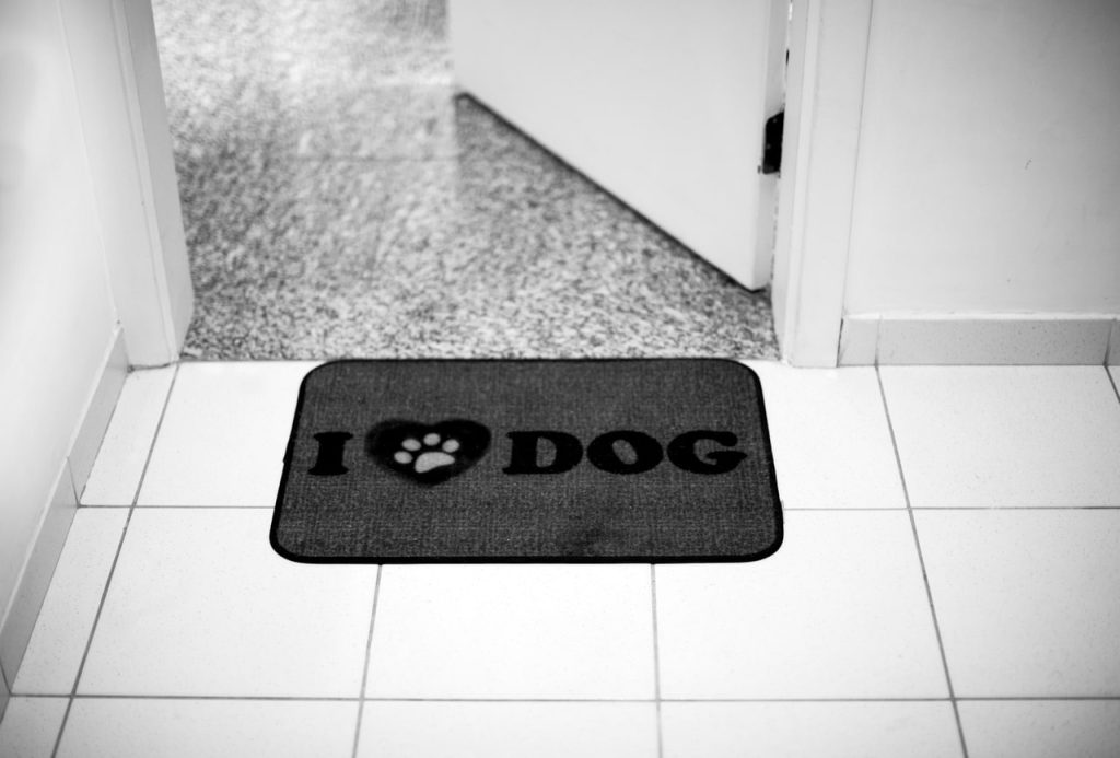 Obra de Silvia Martins Pioner Borbolla