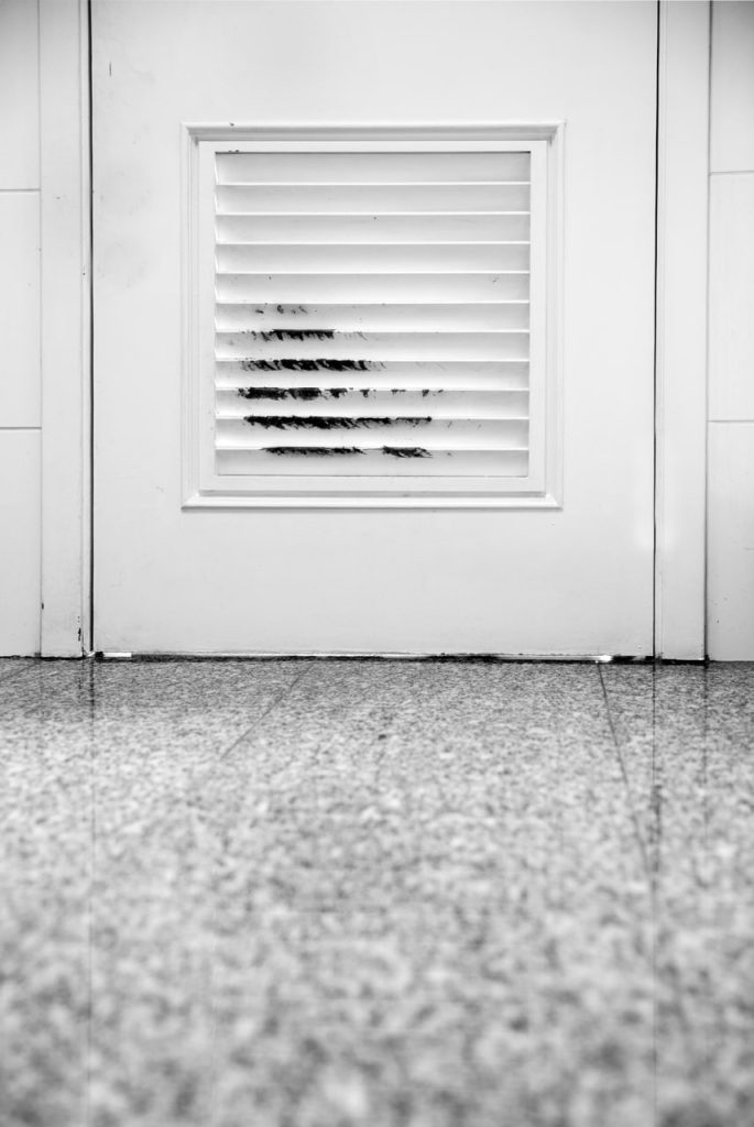 Obra de Silvia Martins Pioner Borbolla