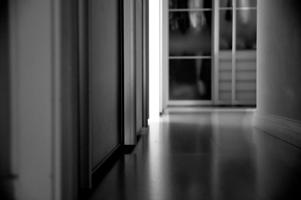 Obra de Silvia Martins Pioner Borbolla