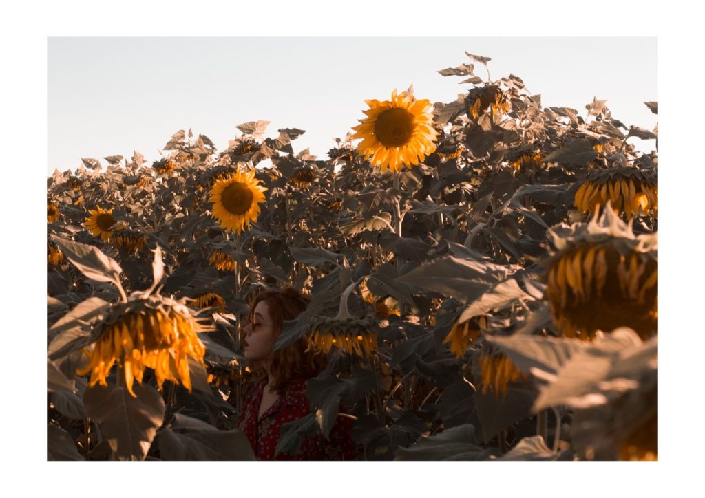 Obra de Tatiana Mito Cavalcanti