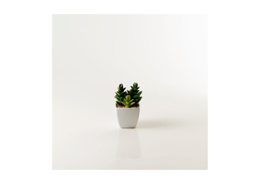 Obra de Tatiana Mito Cavalcanti