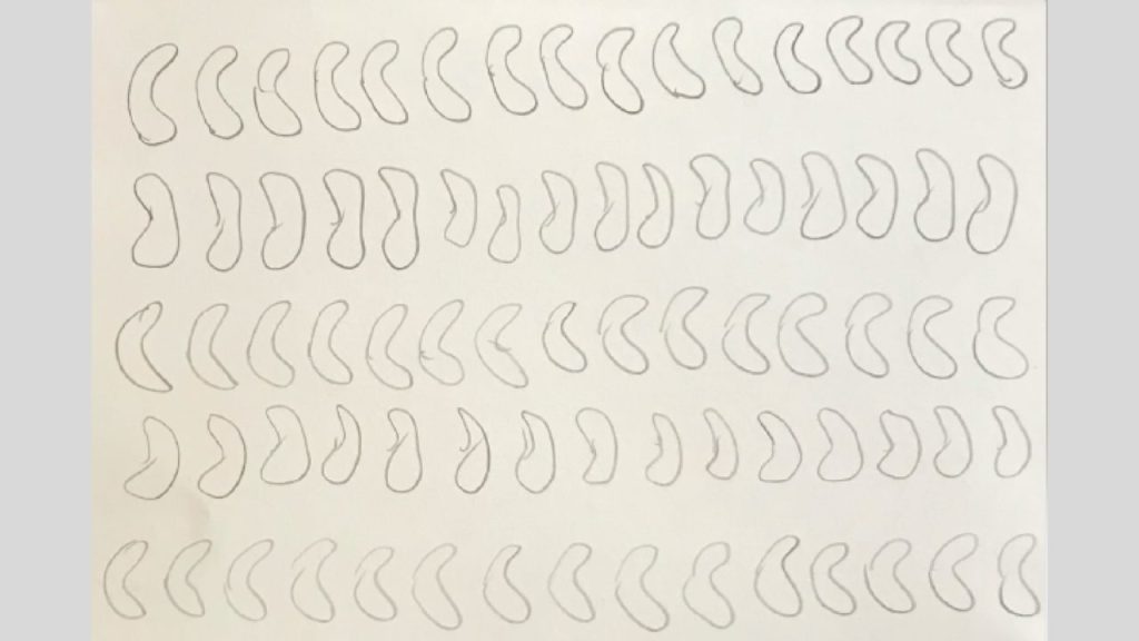 Obra de Emma Moreno Lee