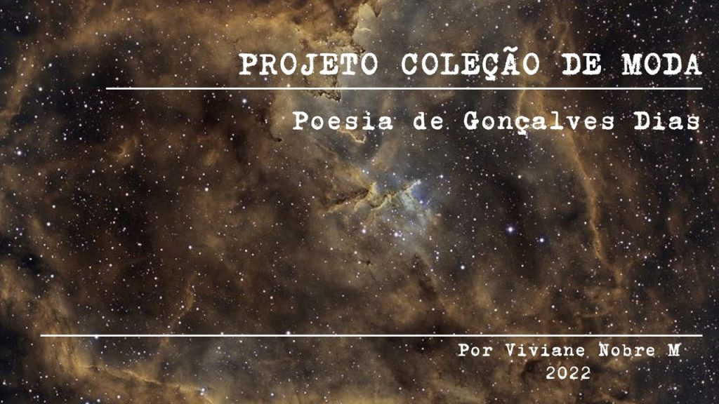 Obra de Viviane Nobre Miranda 