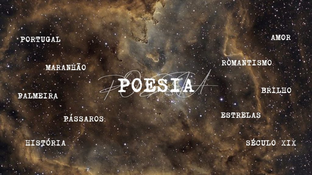 Obra de Viviane Nobre Miranda 