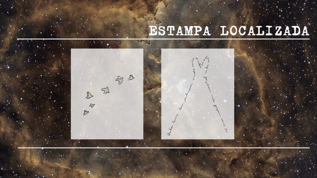 Obra de Viviane Nobre Miranda 