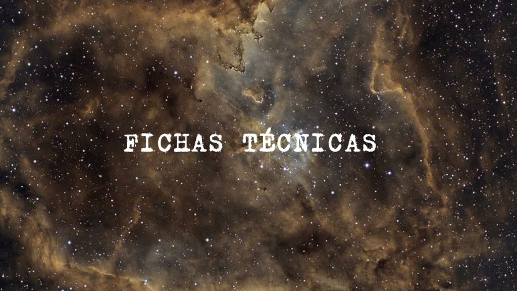 Obra de Viviane Nobre Miranda 