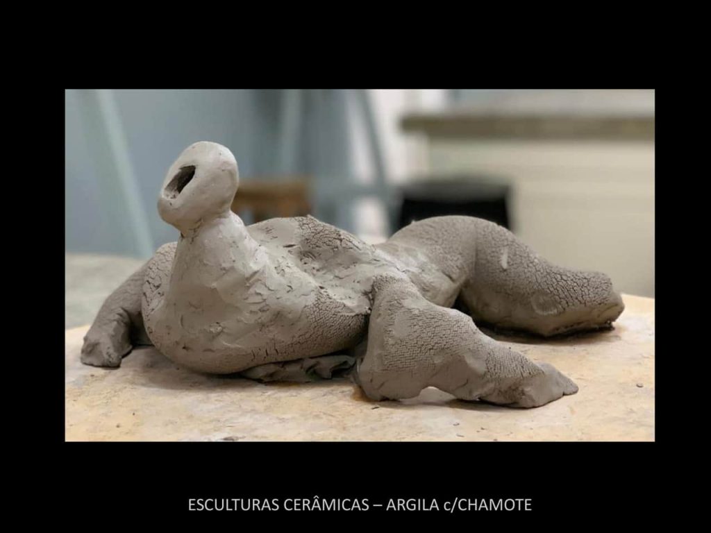 Obra de Frederico Oliveira