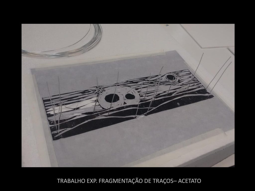 Obra de Gerusa Melquiades