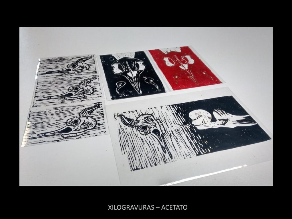 Obra de Gerusa Melquiades