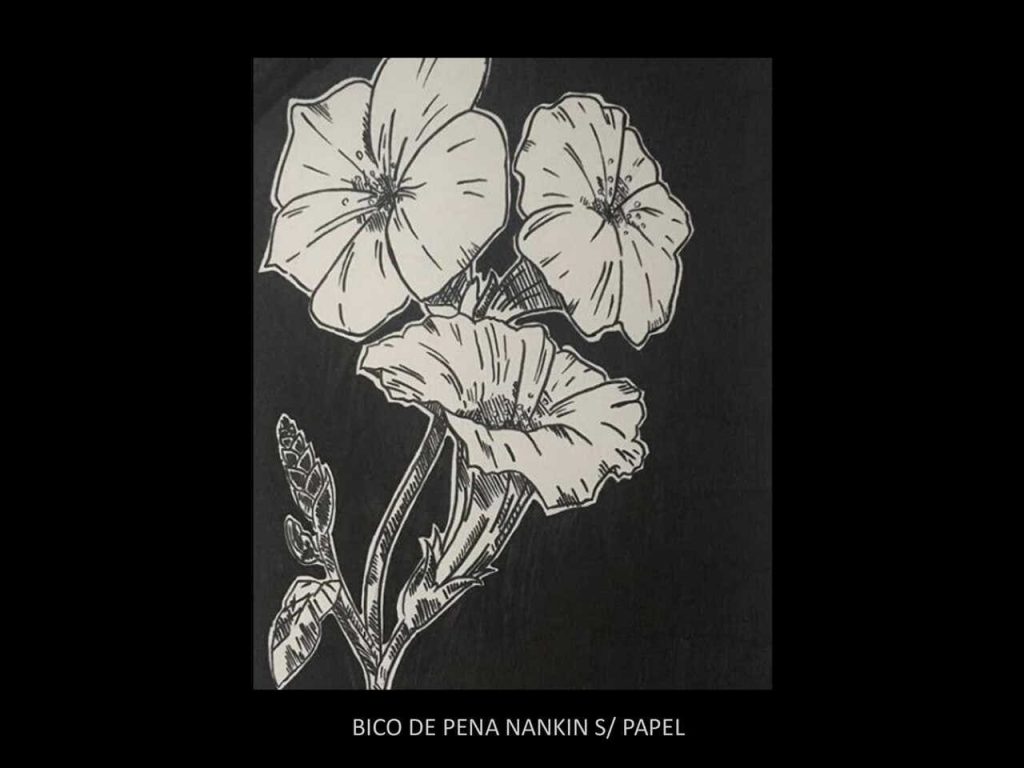 Obra de Renê Campos