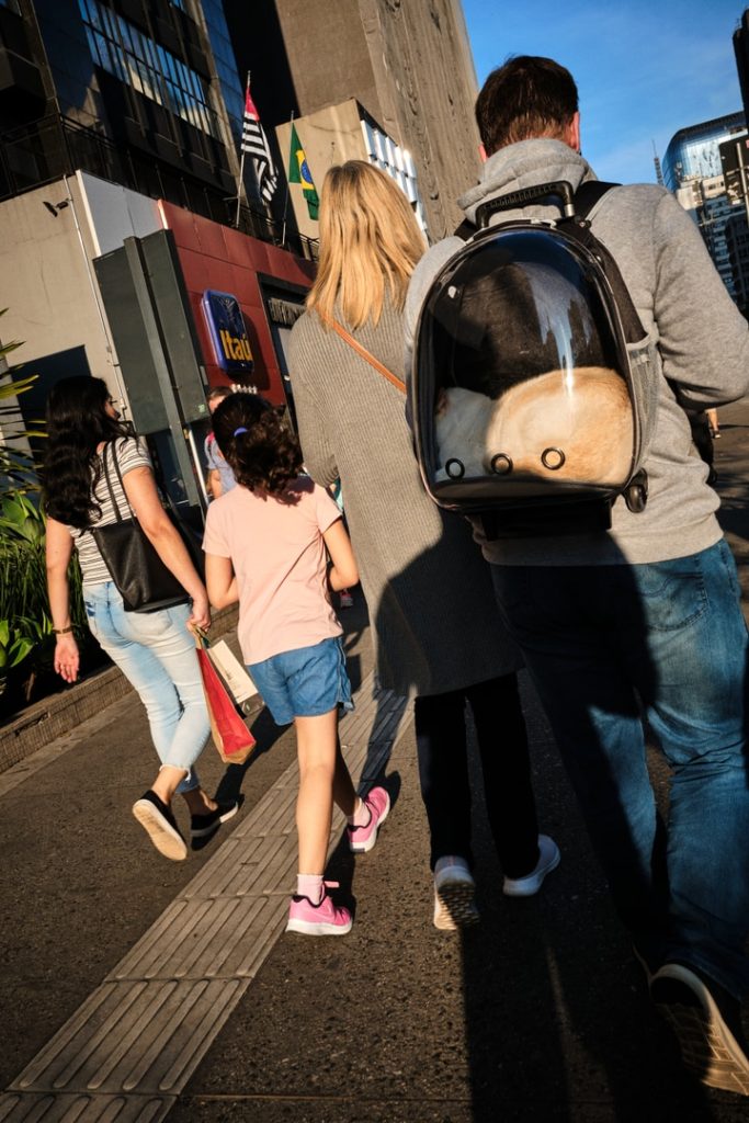 Obra de Diogo Sonoda