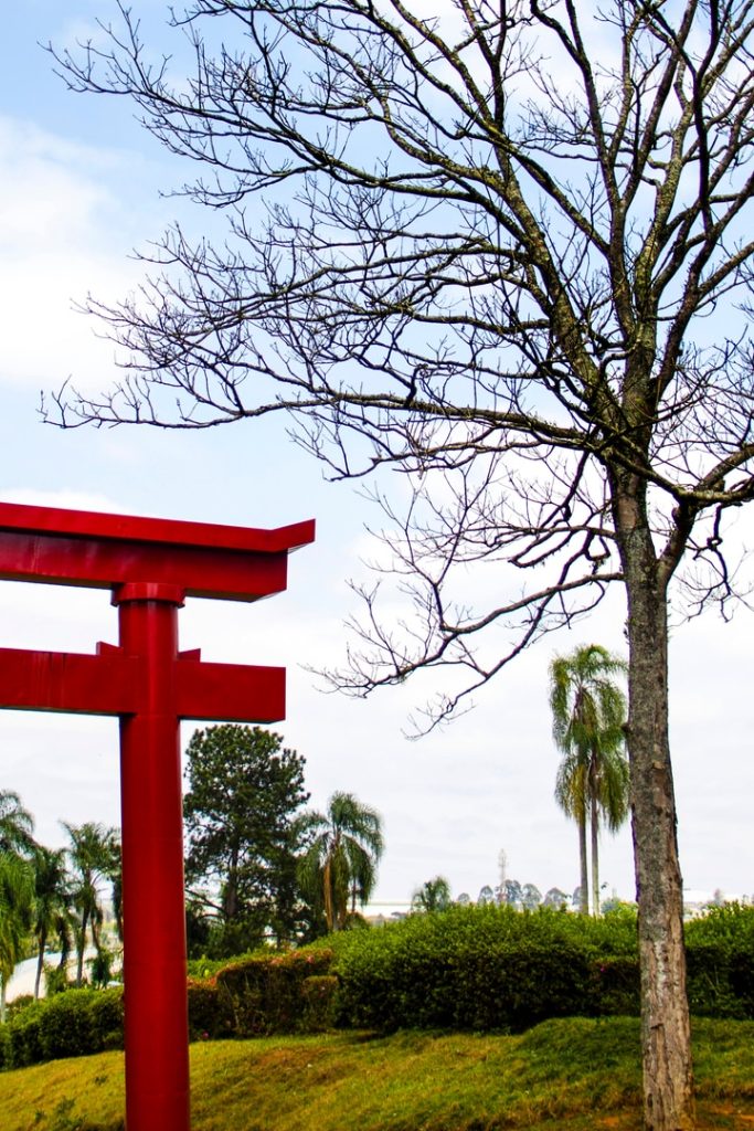 Obra de Erika Nakamura da Costa