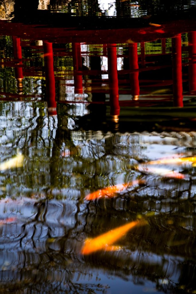 Obra de Erika Nakamura da Costa