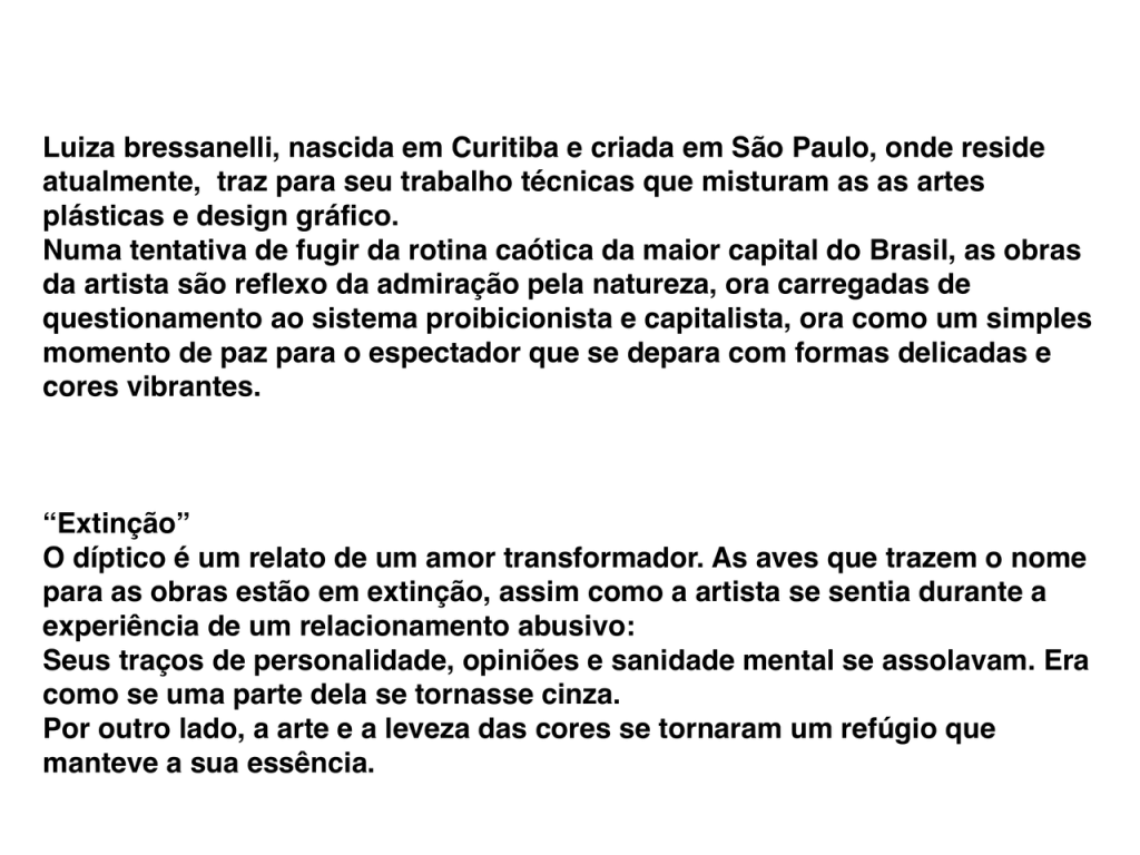 Obra de Luiza Lomonaco Bressanelli