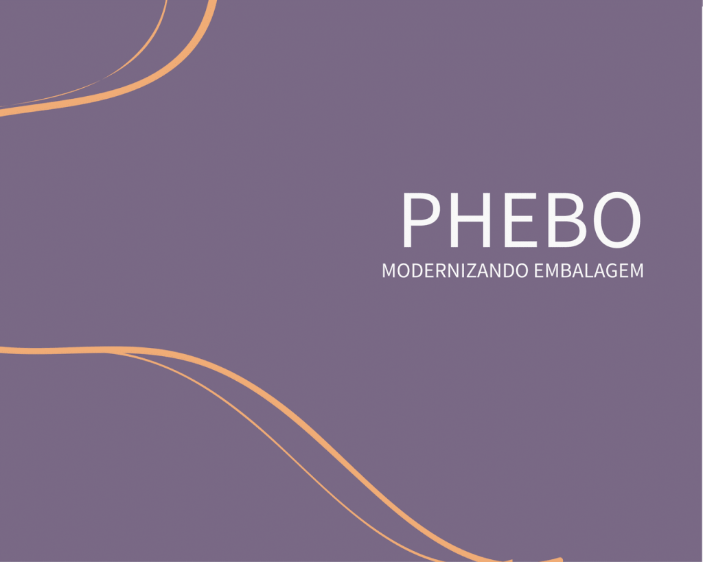 Obra de Angelo Marcon Braga