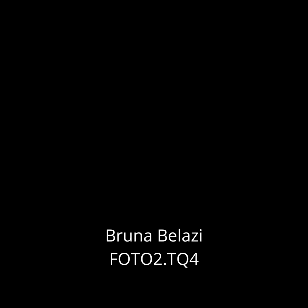 Obra de  Bruna Christina Belazi Paulino