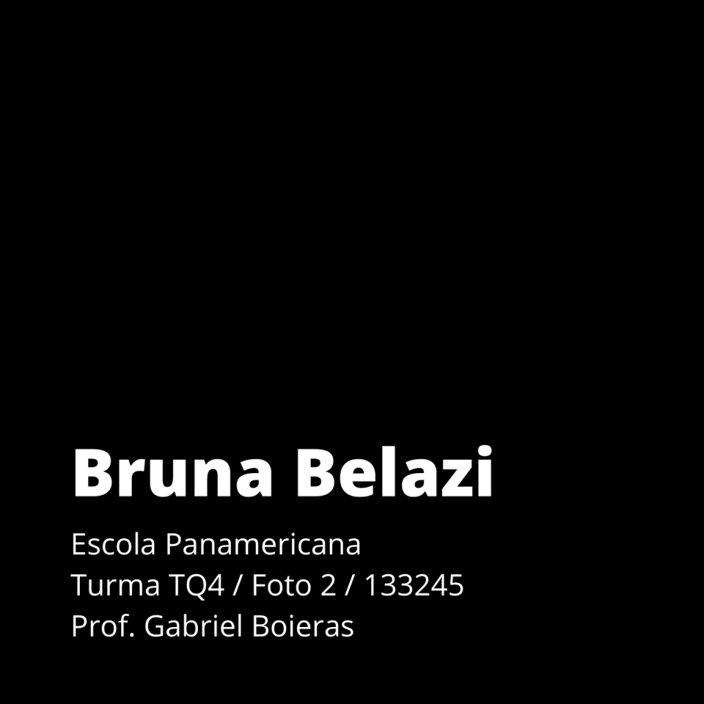 Obra de  Bruna Christina Belazi Paulino