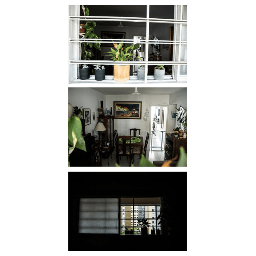 Obra de Camila Dias de Araújo 