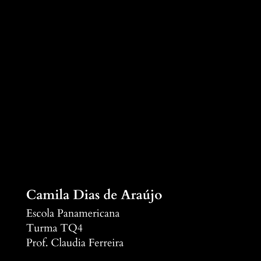 Obra de Camila Dias de Araújo 