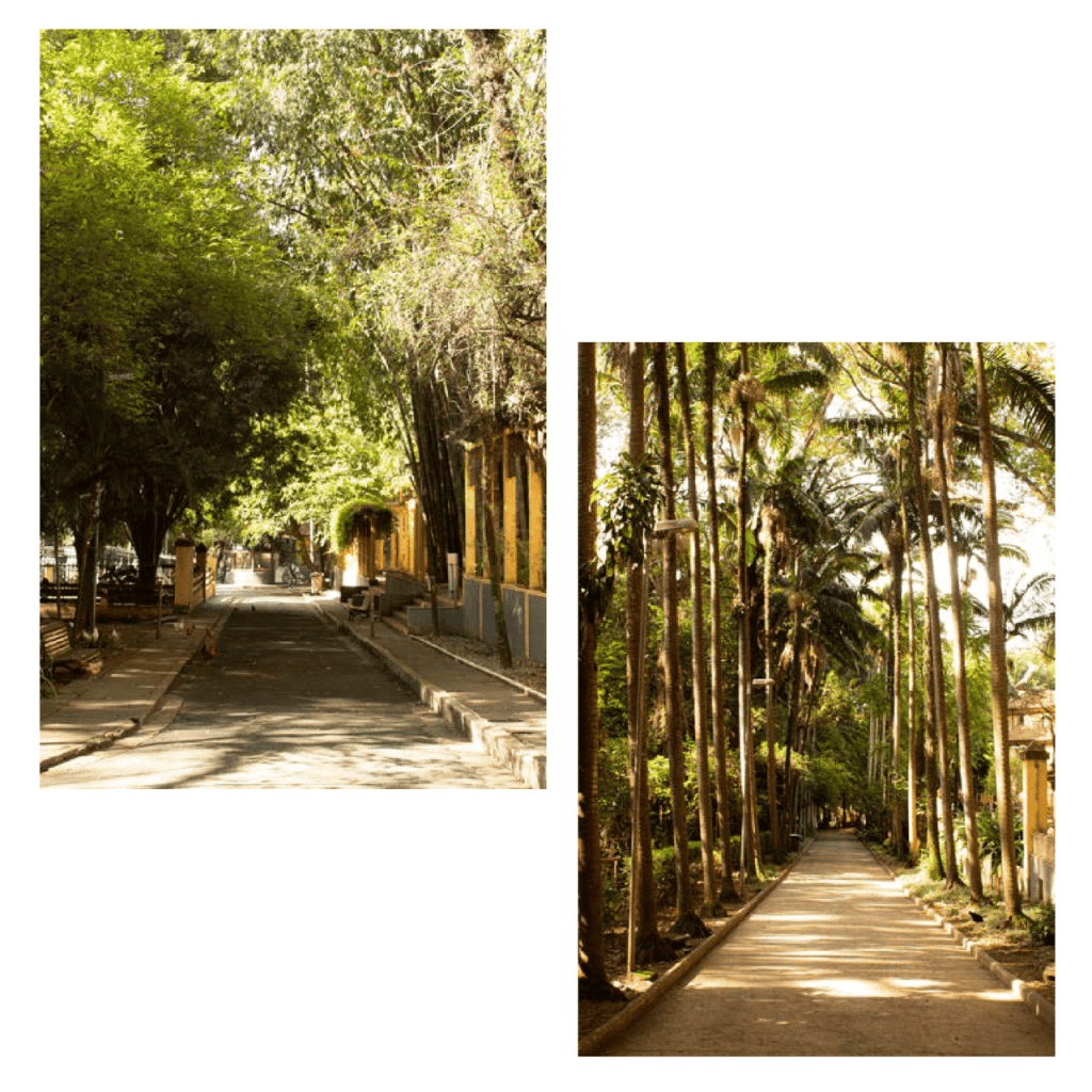 Obra de Camila Dias de Araújo 