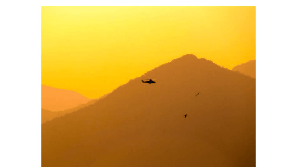 Obra de Camila Neri Querico