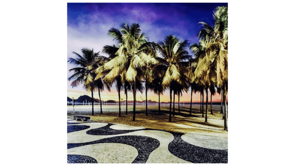 Obra de Camila Neri Querico