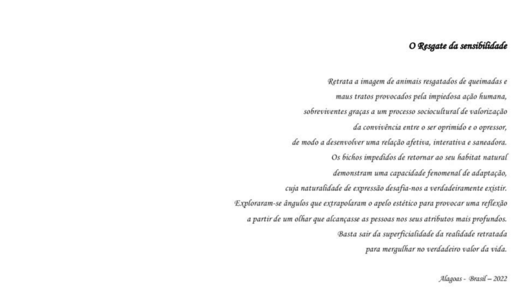 Obra de Camila Neri Querico