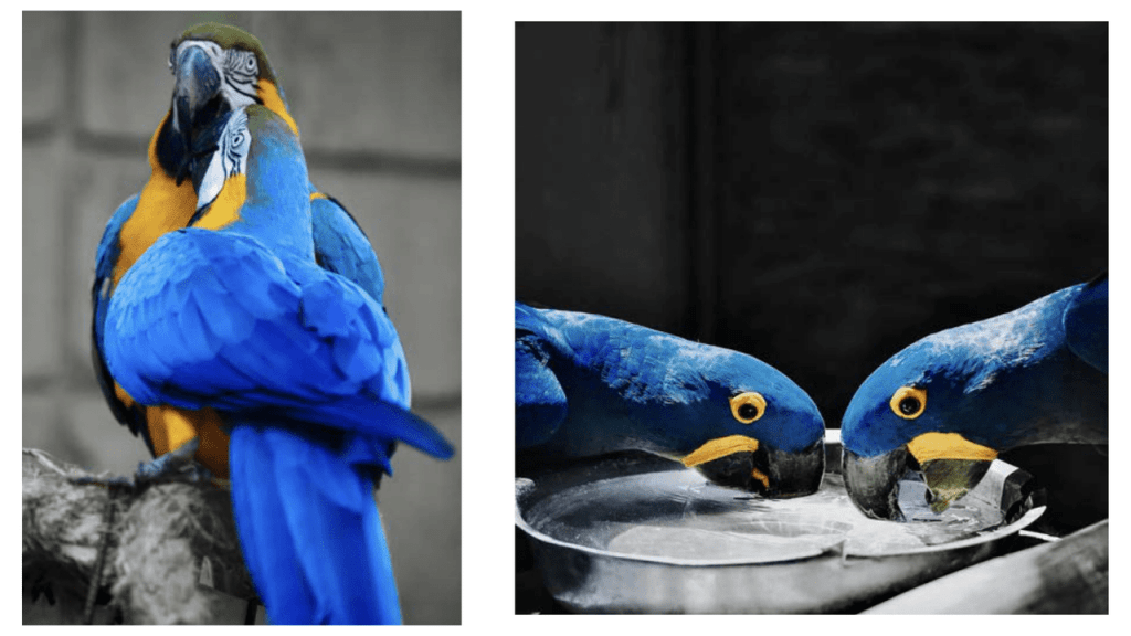 Obra de Camila Neri Querico