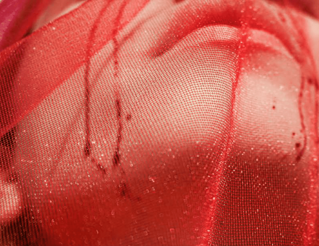 Obra de Carla Juliana Oliveira Nunes 