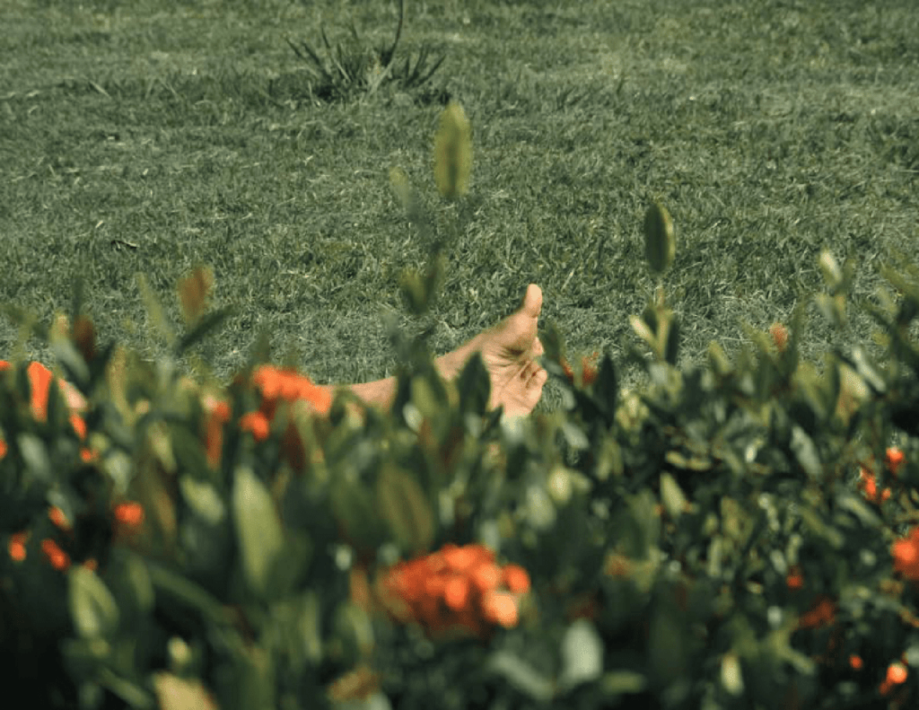 Obra de Carla Juliana Oliveira Nunes 