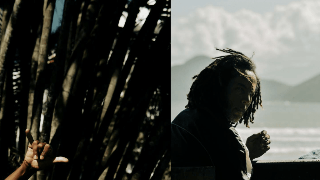 Obra de Carla de Oliveira